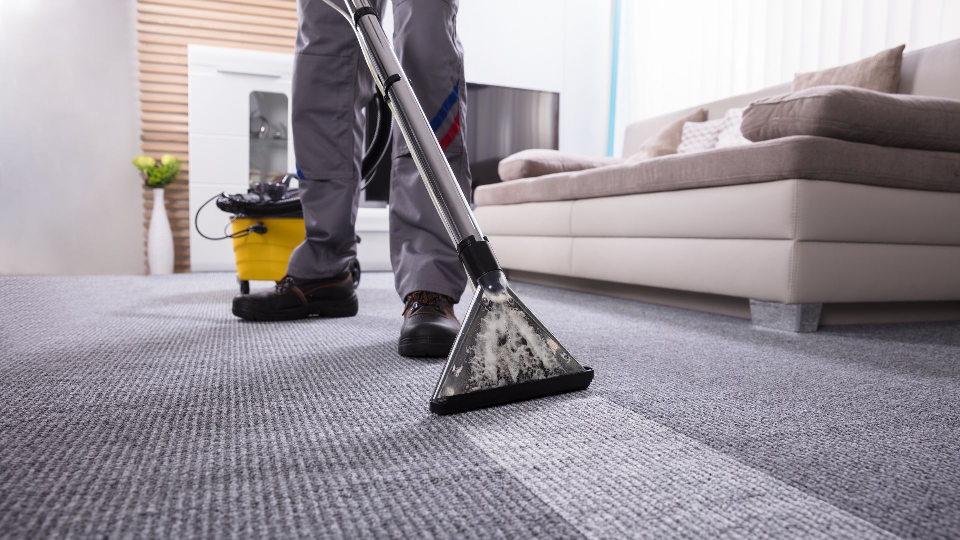 professional cleaning carpet with carpet cleaner