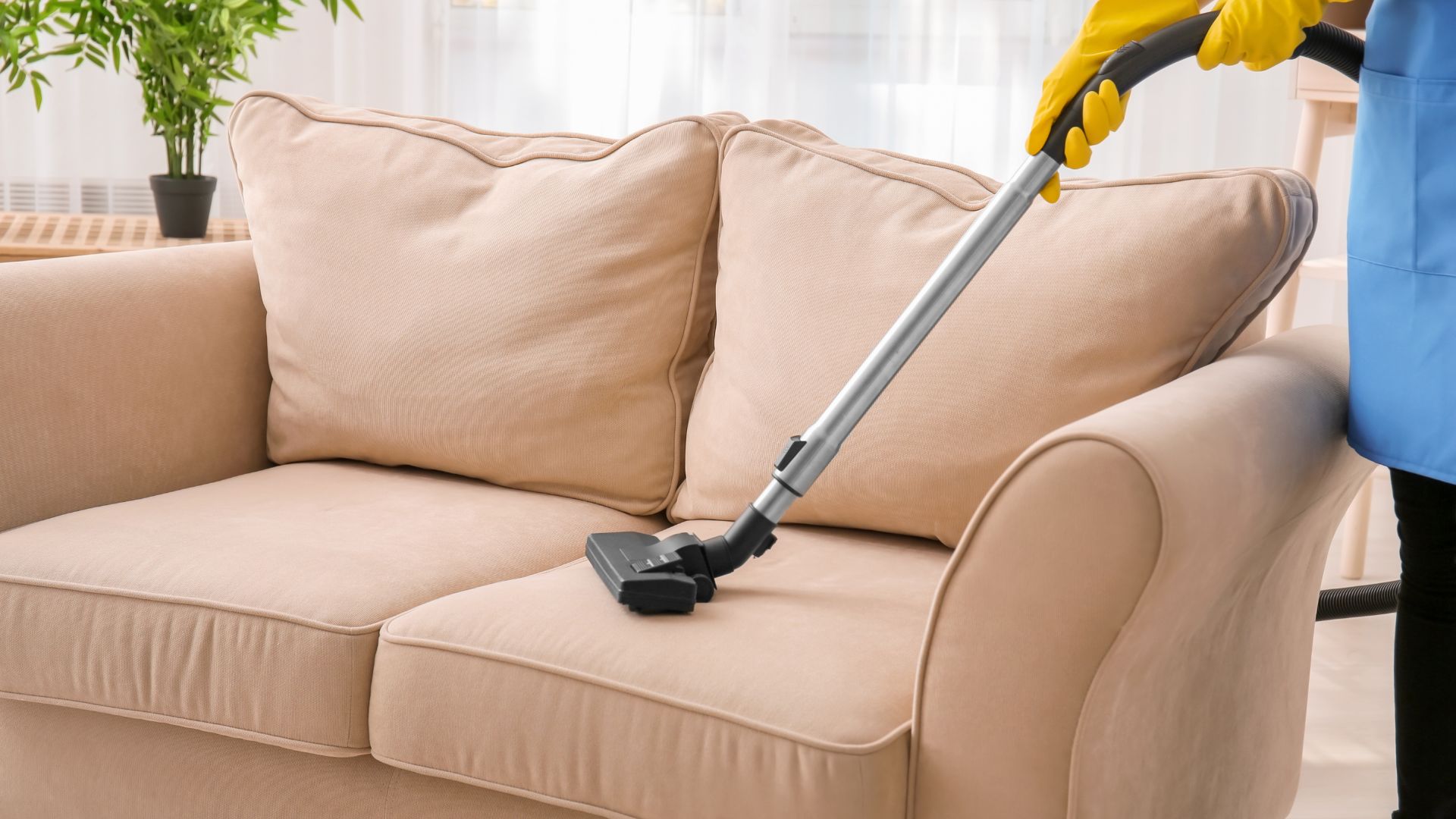 professional in yellow gloves cleaning upholstery