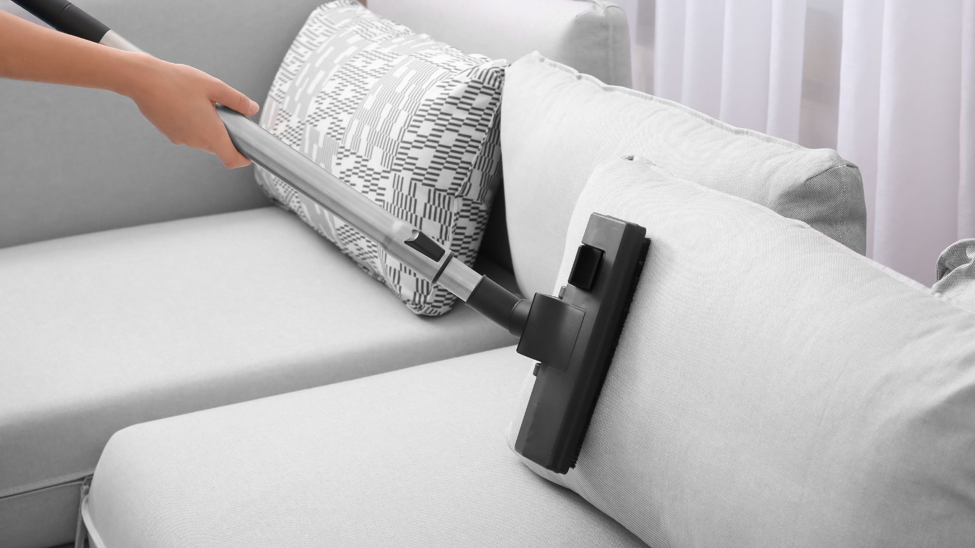 professional cleaning gray couch